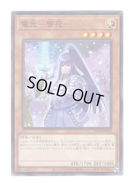 画像1: 電光－雪花－ (1)