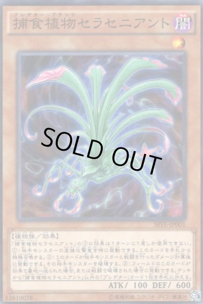 画像1: 捕食植物セラセニアント (1)