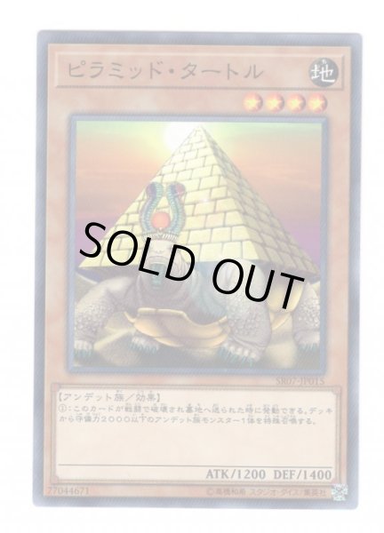 画像1: ピラミッド・タートル (1)