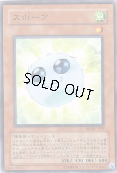 画像1: スポーア (1)