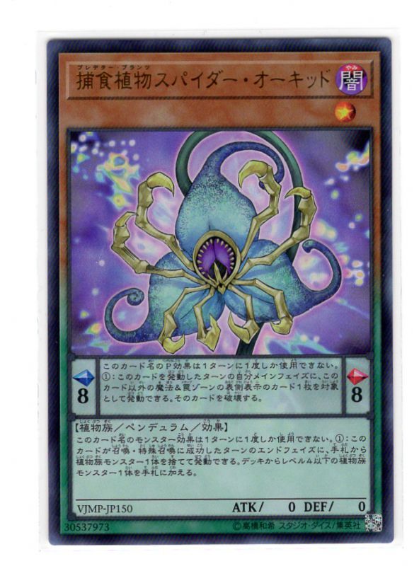 捕食植物スパイダー オーキッド